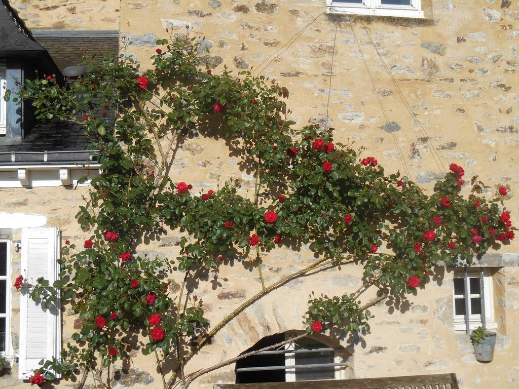 Au Presbytere De Dagmar Erbrée Exterior photo